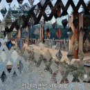황토마루 - 경주시 상범길 159-2 | 황토마루