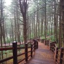 대운상대길 이미지