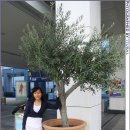 오스카호텔 이미지