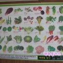 파란들농장 이미지