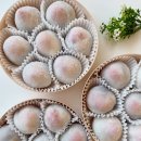 하정어린이집 | 인천 만수동 딸기찹쌀떡 주문｜제철 과일 간식 하정담 딸기모찌