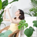 수정양지-D-1 이미지