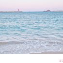 바다친구 이미지