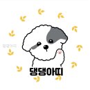 아띠댕댕 네이버블로그