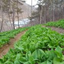 청정농장 이미지