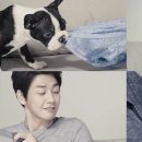 코오롱애견 이미지