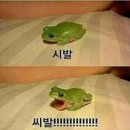 내맘대로여행 네이버블로그