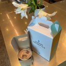 제시 펫 살롱 이미지