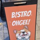 비스트로오지