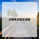 놀라운운동놀이