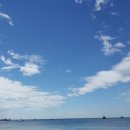 그믐쭈꾸미 이미지