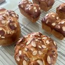 빵준서