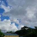 호기농장 이미지