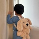 뱌오 | 뱌오누이 귀여운 강아지 인형가방