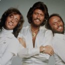 STAYIN' ALIVE _ Bee Gees 이미지