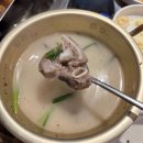[인천/신현동] 루원시티 국내산 돼지곱창 전문 맛집 &#39;백억곱창 루원시티직영점&#39;