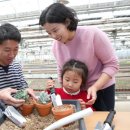 원당농장 이미지