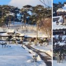 마을회관 정자옆 이미지