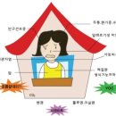 한솔클린 이미지