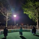 조각공원 | “거제 <양지암조각공원> 야경 후기 🌙 산책코스·포토존·아이와 가볼만한곳”
