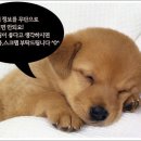 정진흥 | 코스탑사용후기