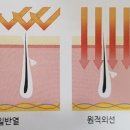 경산대한방병원