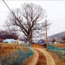 석주권필 유허비 이미지