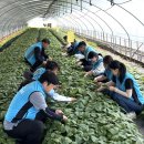 한국농어촌공사세종대전금산지사 이미지