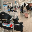 영성자동차정비 | 중국 위해(웨이하이) | 골프여행 패키지 예약 (4박5일 스톤베이, 천익, 호당가cc / 힐튼호텔 - 신태국...