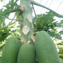 영환농장 이미지