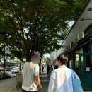 영호고고 웨딩촬영 및 야외스냅 후기 (예약/시안/연계 메이크업샵)