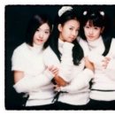 화이트(WHITE)