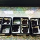 참유치원 이미지