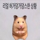[광고 X] 블로그 포스팅 누락 원인 및 해결 후기 (글, 이미지 수정 다 해봄)