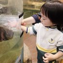 광명생명숲어린이집 | 안양 옥스포드숲 어린이집 : 실내동물원 견학