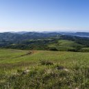 삼장목장 이미지