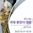 신안장식