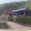 거목정