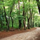 구룡소교량 이미지