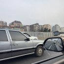아잘리아그린 | [충남 당진] 충남 당진 아잘리아그린캠핑장 내돈내산 방문 후기 | 일반예약 사이트 추천