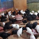 이백농장 이미지