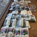 충남 예산 꼭 가봐야하는 &#34; 예산시장 &#34; 다녀온 내돈내산 후기 3탄 ( 고려떡집 / 사과당 )