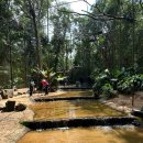 마평어린이공원_R | 이과수 새공원 완벽 가이드｜입장료·동선·앵무새 천국 후기 총정리