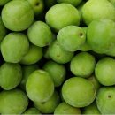 다복농장 이미지