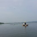 남양호 상류 이미지