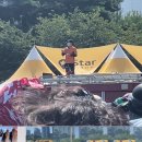 볼 장 다 본 펜타포트 2024 후기 (3일차)