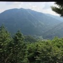 라온커피솝