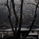 안동군자마을(계암정)