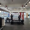 윤석현 복싱 이미지