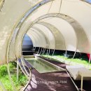 글램퍼스 이미지